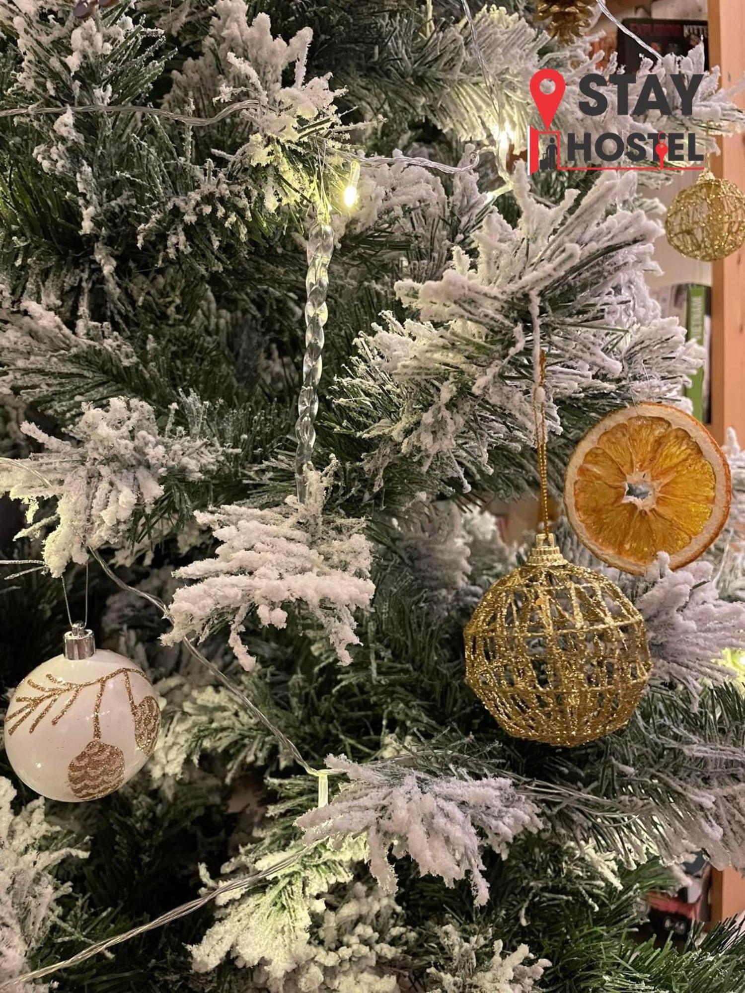 ראץ' גיאה Stay Hostel - 300M From The Ferry מראה חיצוני תמונה